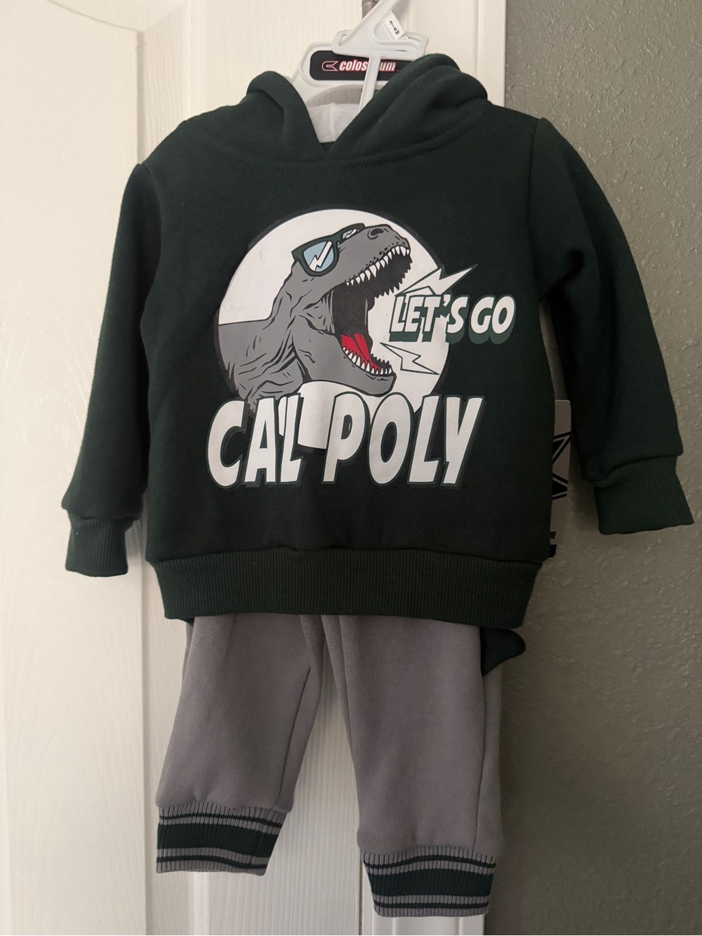 Colosseum Dark Green Hoodie & Gray Joggers Dinosaur Set